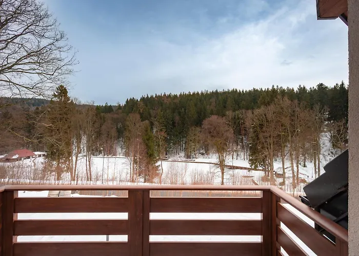 Apartment Brzozowy Z Sauna, Myweek